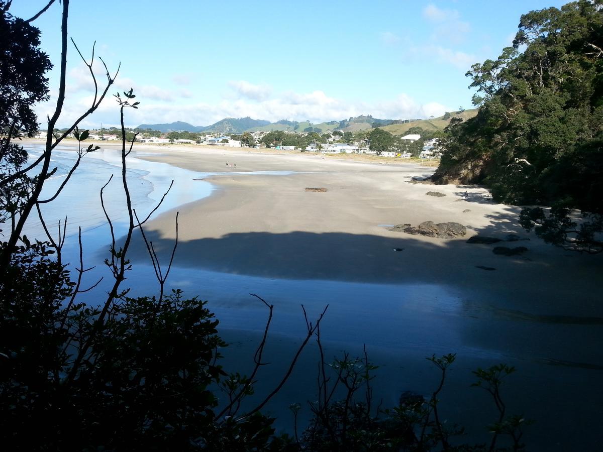 Kotare Ridge Bed & Breakfast Waihi Eksteriør bilde